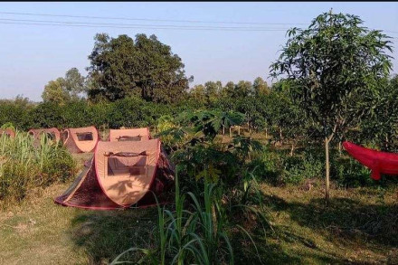 দেশে কৃষি পর্যটনের স্বপ্ন দেখাচ্ছে সোহেল রানার মিশ্র ফলের বাগান