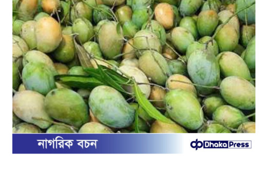 নওগাঁয় আড়াই হাজার কোটি টাকার আম বিক্রির সম্ভাবনা: