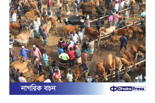 ১৭ পশুর হাটের ইজারা সম্পন্ন হলেও হাট বসতে পারে ১৬টি