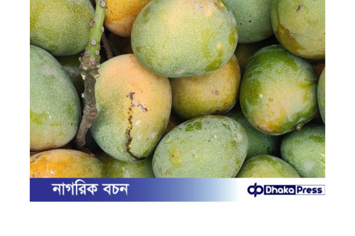 গোপালভোগ আমের বাজারে দাম চড়া