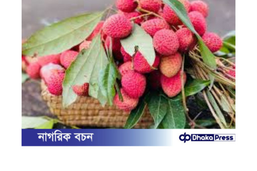 লিচু: সুস্বাদু ফল, সতর্কতার সাথে খান!