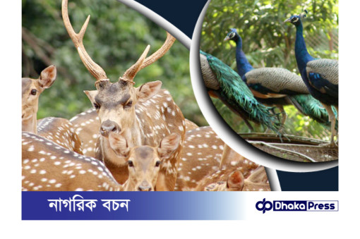 মিরপুরে জাতীয় চিড়িয়াখানায় ধারণক্ষমতার চেয়ে পাঁচ শতাধিক প্রাণী বেশি