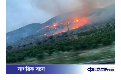 ইসরায়েলে তীব্র দাবানল নিয়ন্ত্রণে লড়াই করছে কর্তৃপক্ষ