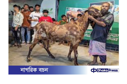 ১৫ লাখ টাকায় বিক্রি হলো মস্তান নামের সেই বিশাল ছাগল!