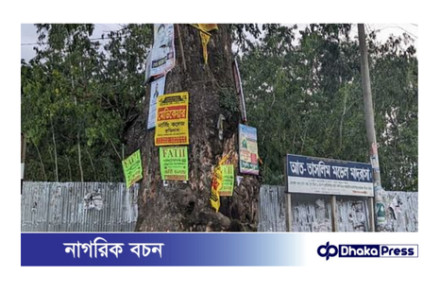 গাছের বুকে পেরেক: বিজ্ঞাপনের নোংরা খেলায় ঝুঁকির মুখে পরিবেশ