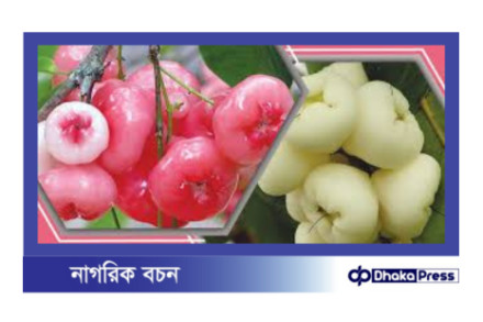 জামরুলের স্বাস্থ্য উপকারিতা: