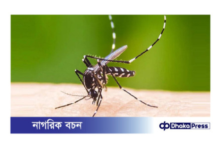 ডেঙ্গুতে আরও একজনের মৃত্যু, হাসপাতালে ভর্তি ৪৯ জন